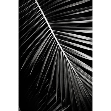 Palm Leaf painting Print